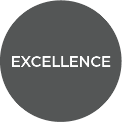 Excellence policy area